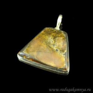 Кулон аммонит 37*32мм.