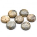 Кабошон из камня лунник овал, 16*16*5мм Кабошон из камня лунник овал, 16*16*5мм