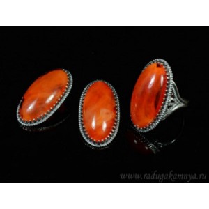 Кольцо и серьги с янтарем (имитация) (иск.) Кольцо и серьги с янтарем (имитация) (иск.)