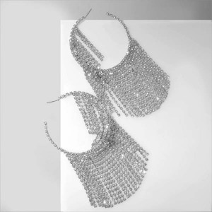 Серьги висячие со стразами "Водопад" нити на крупных кольцах, цвет белый, цвет серебристый Серьги висячие со стразами "Водопад" нити на крупных кольцах, цвет белый, цвет серебристый