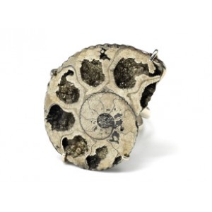 Кольцо аммонит 27*35мм