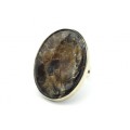 Кольцо с аммонитом " Овал " 28*37мм