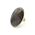 Кольцо аммонит " Овал " 24*37мм.