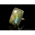 Кольцо с лабрадором прямоугольник 18*27мм