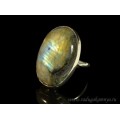 Кольцо с лабрадором овал 20*30мм