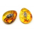 Кулон из янтаря искусственного капля 43*55мм Скорпион, цвет коньячный (иск.)