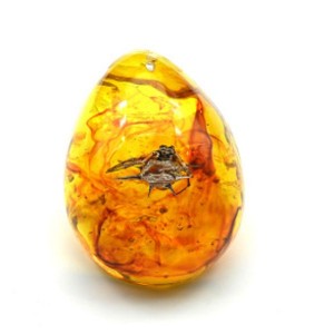 Кулон из янтаря искусственного капля 43*55мм Паук, цвет медовый (иск.) Кулон из янтаря искусственного капля 43*55мм Паук, цвет медовый (иск.)