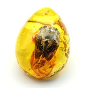 Кулон из янтаря искусственного капля 43*55мм жук Цикада, цвет медовый (иск.)
