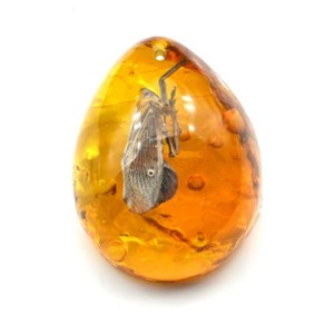 Кулон из янтаря искусственного капля 43*55мм жук Цикада №2, цвет медовый (иск.)