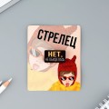 Деревянный значок гороскоп "Стрелец",  8 х 10 см