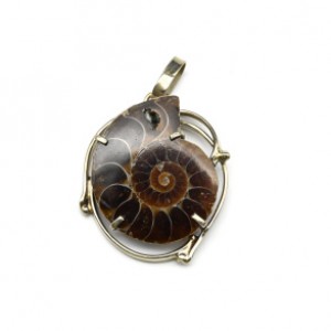 Кулон аммонит 29*34мм.