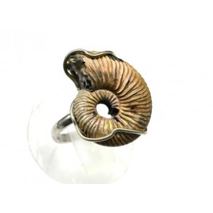 Кольцо с аммонитом 18*23мм.