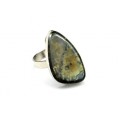 Кольцо с аммонитом 17*29мм