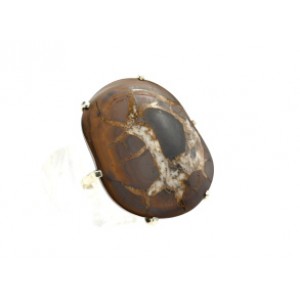 Кольцо септария 27*32мм. Кольцо септария 27*32мм.