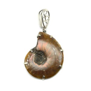 Кулон аммонит 31*40мм.