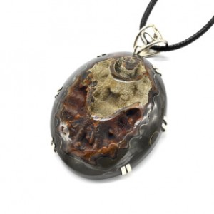 Кулон аммонит 45*57мм.