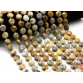 Бусины из агата львиная шкура круг гр.12мм, 38см, 26 бусин