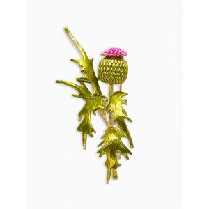 Брошь «Чертополох» растение, зелёно-розовый, цвет золотистый