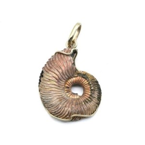 Кулон аммонит 25*31мм.