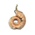 Кулон аммонит 33*40мм.