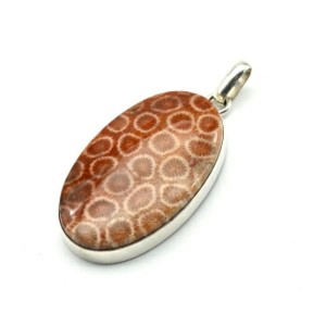 Кулон коралл 23*38мм.