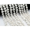 Бусины из майорки ракушка 15*13мм цвет белый, 42см, 32 бусины (иск.)