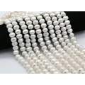 Бусины из майорки рис 12*9мм цвет белый, 40см, 43 бусины (иск.)