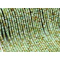 Бусины из хризопраза диски гр.4*2мм, 38см, 165 бусин