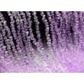 Бусины из циркона (имитация) огранка 4мм цвет лавандовый, 37см, 155 бусин
