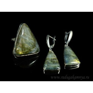 Кольцо и серьги лабрадор