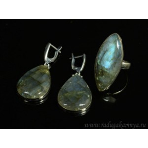 Кольцо и серьги лабрадор