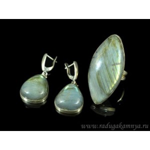Кольцо и серьги лабрадор