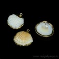 Кулон из перламутра ракушка 22*20мм в золотистом обрамлении