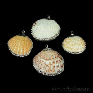 Кулон из перламутра ракушка 22*20мм в серебристом обрамлении