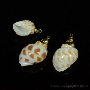 Кулон из перламутра ракушка 13*23мм цвет тигровый Кулон из перламутра ракушка 13*23мм цвет тигровый