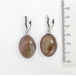 Серьги из агата кофейного (тонировка), простой овал 25х18мм, швензы посеребрение