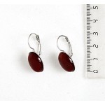 Серьги из сердолика (однотонный гладкий), овал 18х13мм, замок петелька