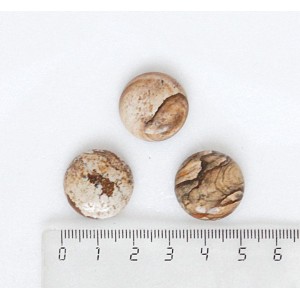 Яшма песочная, кабошон круг 20мм