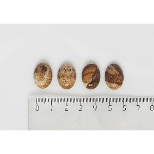 Яшма песочная, кабошон овал 18х13мм