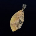 Кулон из беломорита, 31*63мм