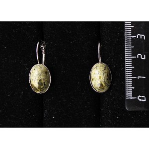 Cерьги из змеевика, овал 14х10мм, замок петелька