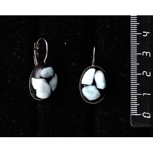 Серьги из ларимара (кабошон-мозаика, черный фон), овал 18х13мм, замок петелька