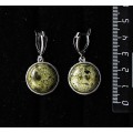 Серьги из змеевика, круг 18мм, швензы посеребрение