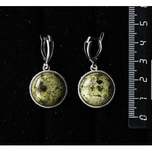 Серьги из змеевика, круг 18мм, швензы посеребрение