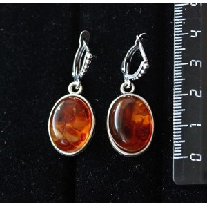 Серьги из янтаря темного (кабошон-мозаика), простой овал 18х13мм, швензы посеребрение
