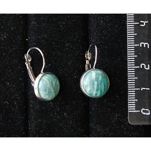 Серьги из амазонита, круг 12мм, нерж. сталь