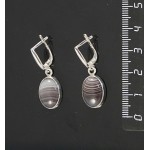 C925 Серьги 4.6г с агатом серо-коричневым (ботсванский), овал 14х10мм