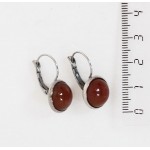 Серьги из сердолика, круг 12мм, нерж. сталь