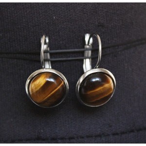 Cерьги из тигрового глаза, круг 12мм, нерж. сталь