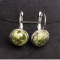 Серьги из змеевика, круг 12мм, нерж. сталь